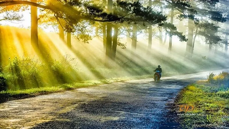 Đà Lạt chiều tà tại Đà Lạt