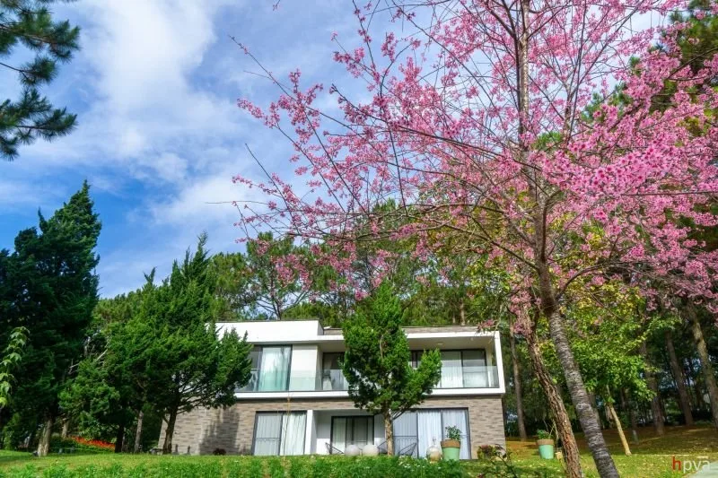 Khu biệt thự Đà Lạt Terracotta tại Đà Lạt