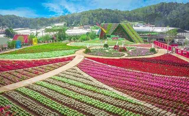 Công ty Du lịch Đà Lạt Trip tại Đà Lạt