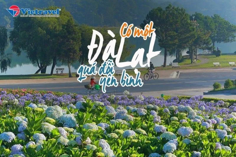 Top 10 Công ty du lịch uy tín nhất ở TP. Đà Lạt, Lâm Đồng – Review & Đặt Chỗ 2026