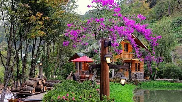 Ma Rừng Lữ Quán tại Đà Lạt