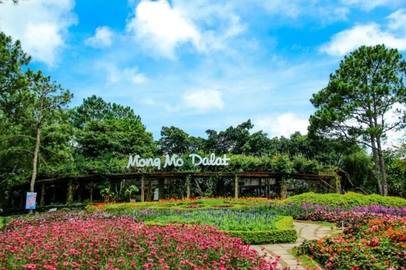 Đồi Mộng Mơ tại Đà Lạt