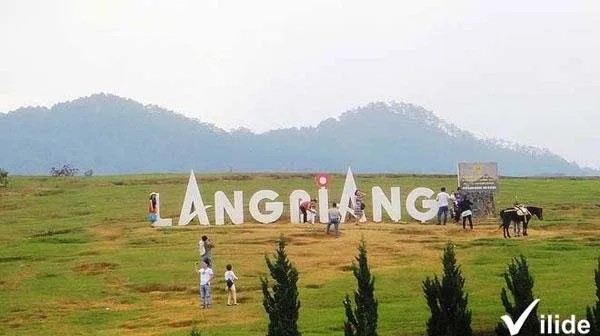 Top 10 địa điểm du lịch Đà Lạt không thể bỏ qua – Review & Đặt Chỗ 2026