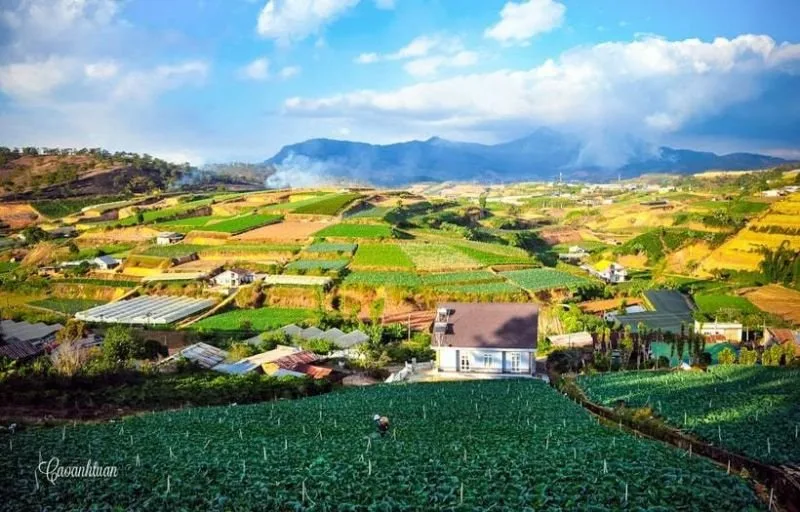 Top 10 Địa điểm tham quan miễn phí ở TP. Đà Lạt, Lâm Đồng – Review & Đặt Chỗ 2026