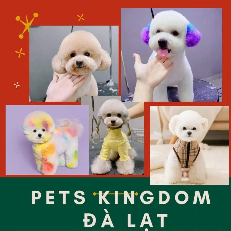 Pets Kingdom tại Đà Lạt