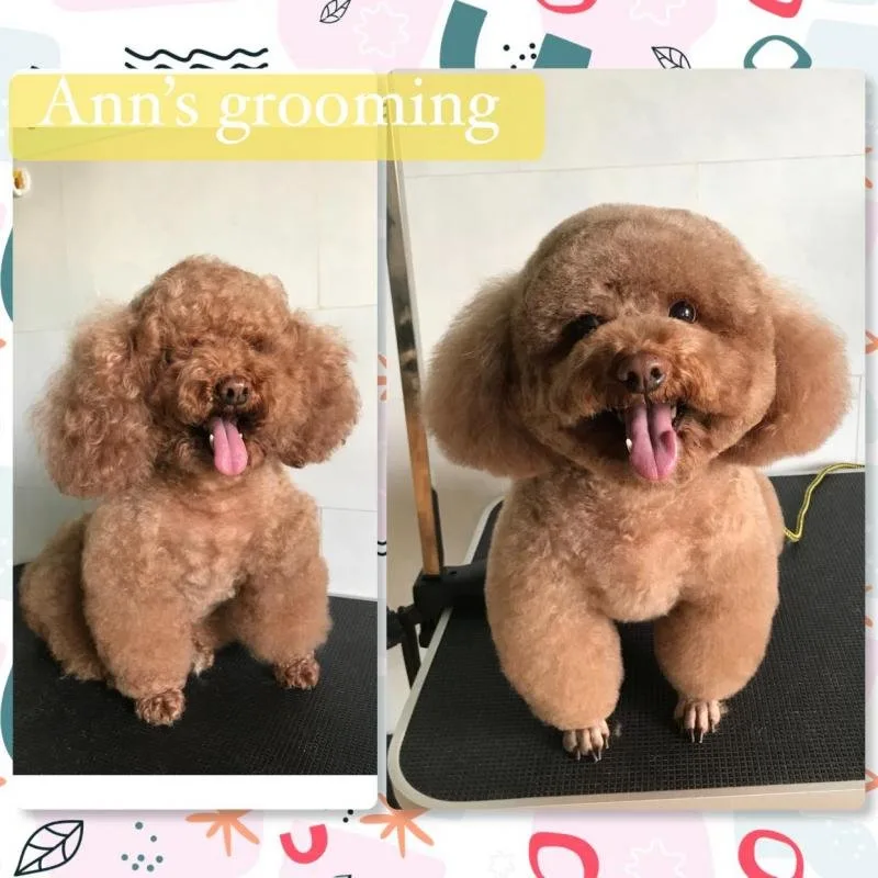 Ann’s Grooming tại Đà Lạt