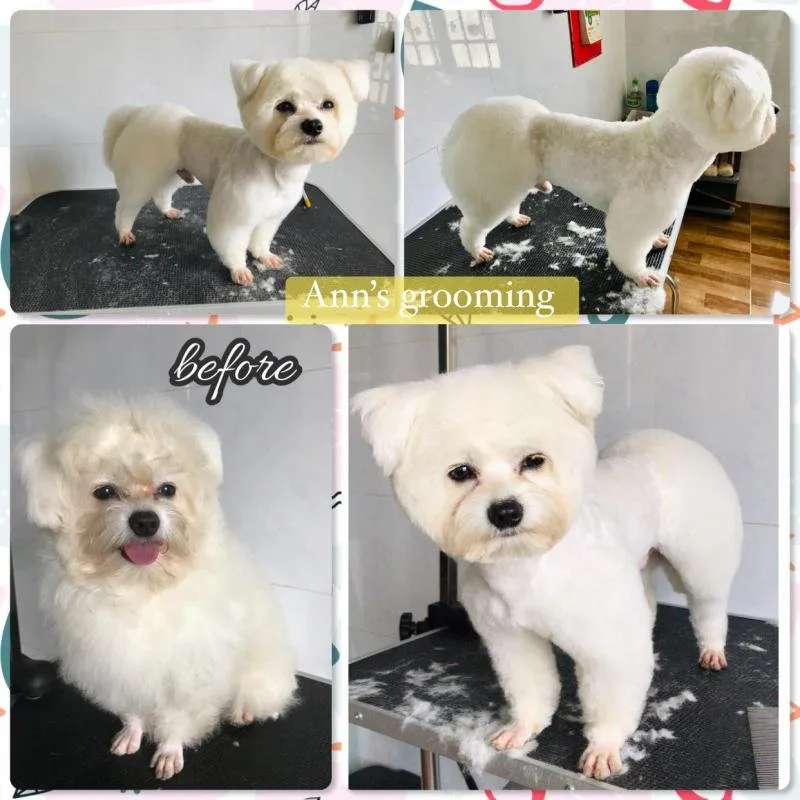 Ann’s Grooming tại Đà Lạt