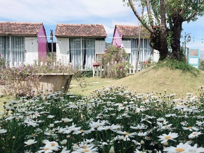 Thị Trấn Nhỏ Homestay Đà Lạt tại Đà Lạt
