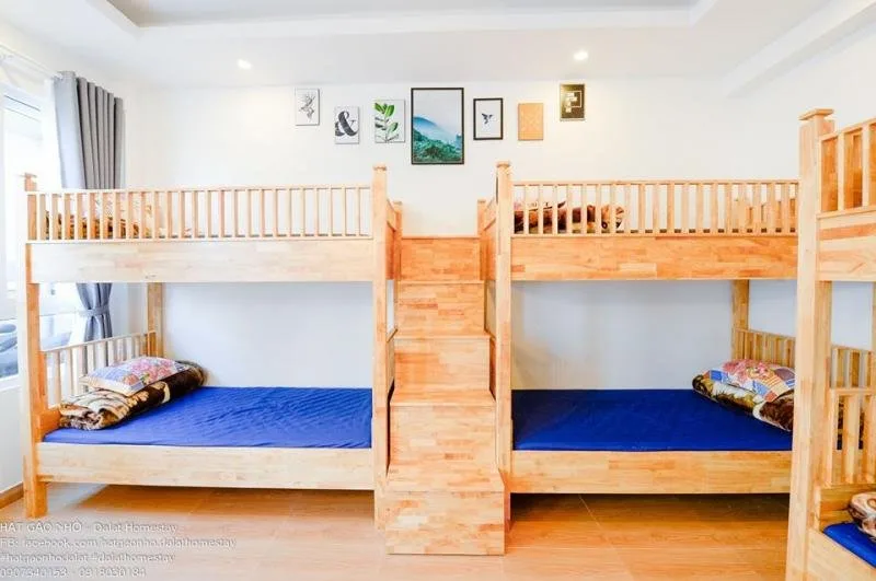 Hạt Gạo Nhỏ Homestay tại Đà Lạt
