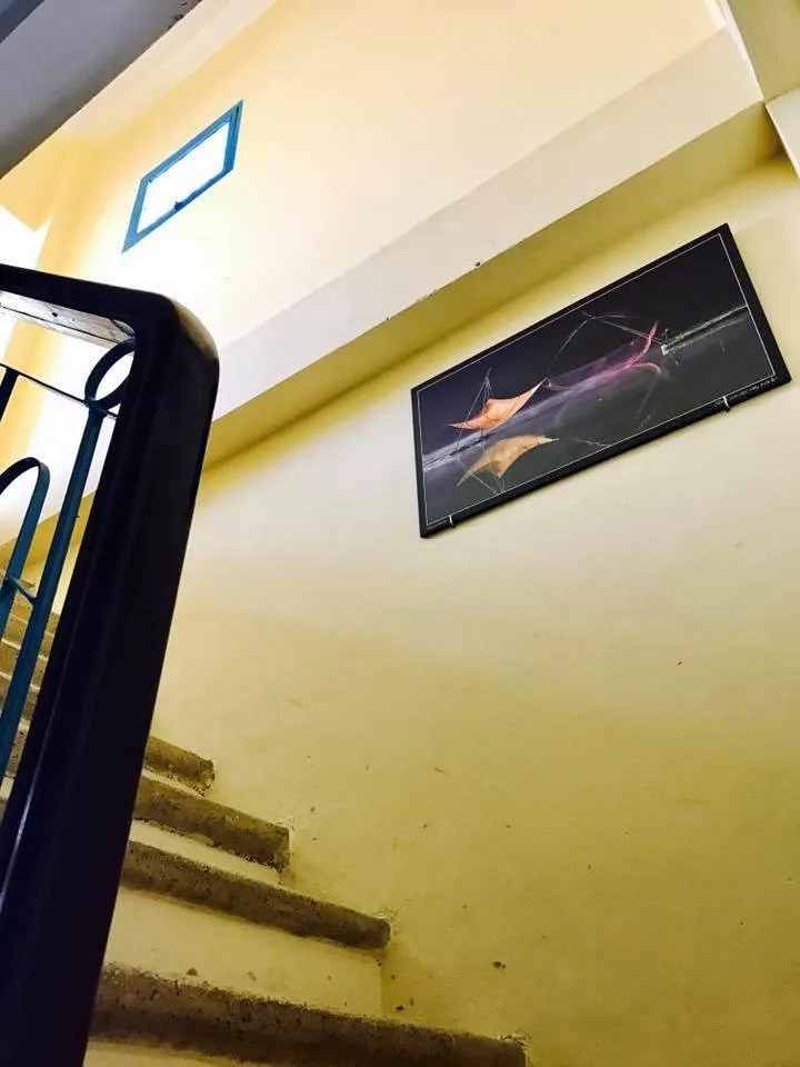 Memory Vintage Dalat homestay tại Đà Lạt