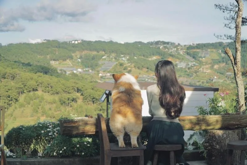 Leng Keng Da Lat Homestay tại Đà Lạt
