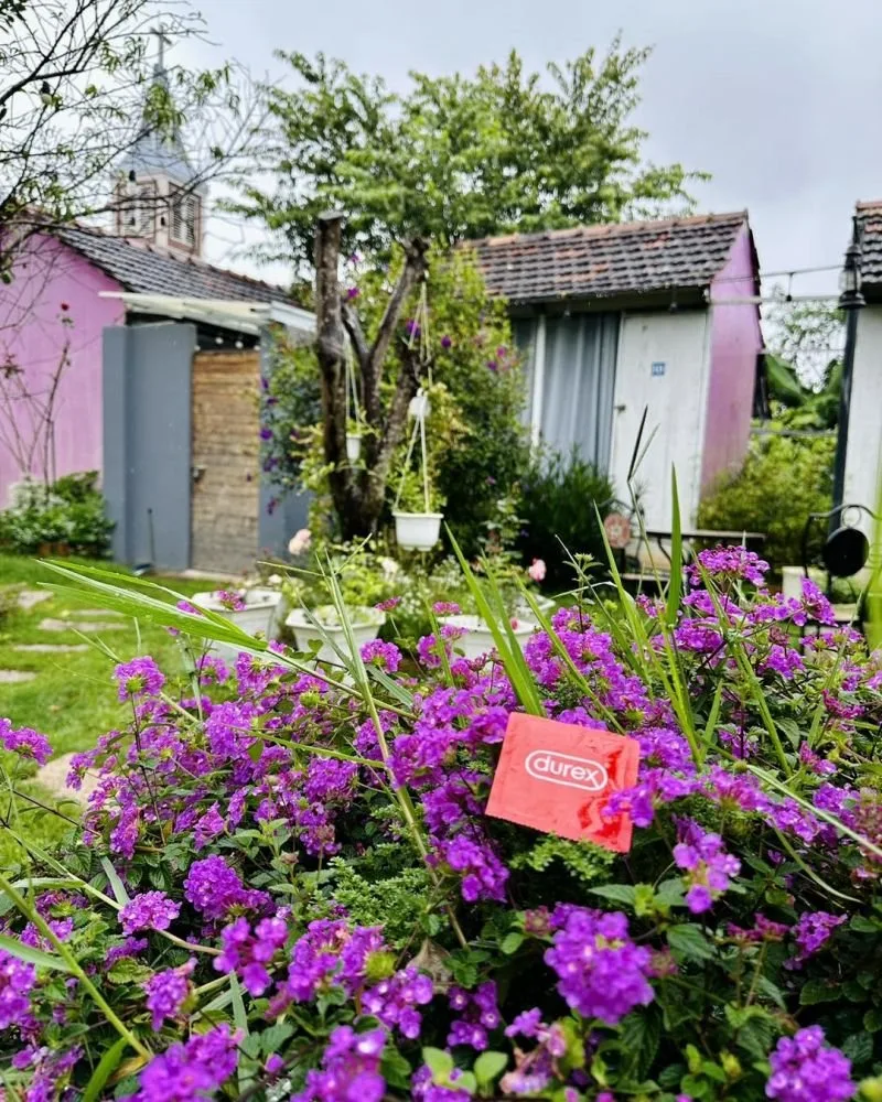 Thị Trấn Nhỏ Homestay Đà Lạt tại Đà Lạt