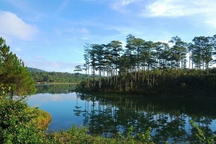 Đà Lạt - Vẻ đẹp xứ ngàn thông tại Đà Lạt