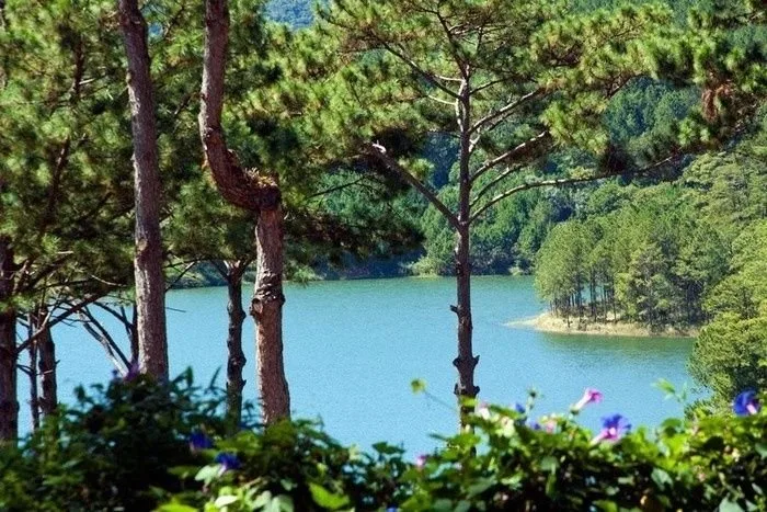 Đà Lạt - Vẻ đẹp xứ ngàn thông tại Đà Lạt