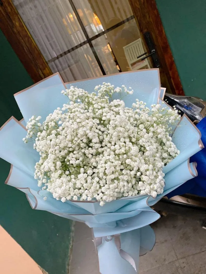 Shop Hoa Tươi Bách Hợp tại Đà Lạt