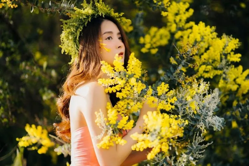 Top 10 Tản văn viết về Đà Lạt hay nhất – Review & Đặt Chỗ 2026