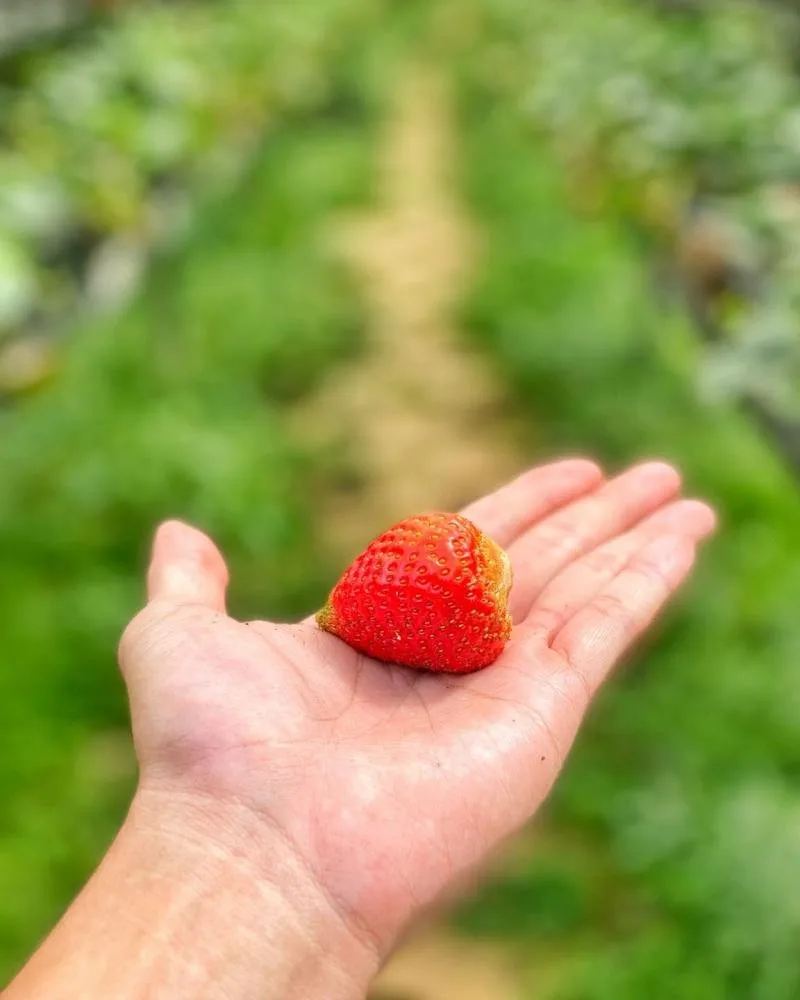 Biofresh Dalat tại Đà Lạt
