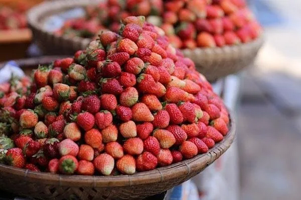 Chợ Đà Lạt tại Đà Lạt