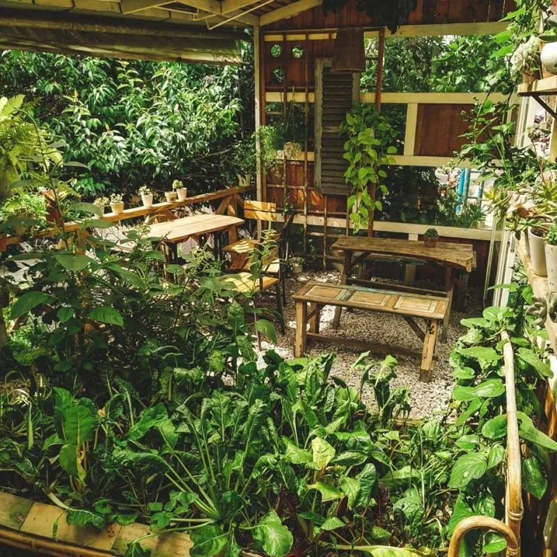Top 11 Quán cafe không gian xanh tại Đà Lạt – Review & Đặt Chỗ 2026
