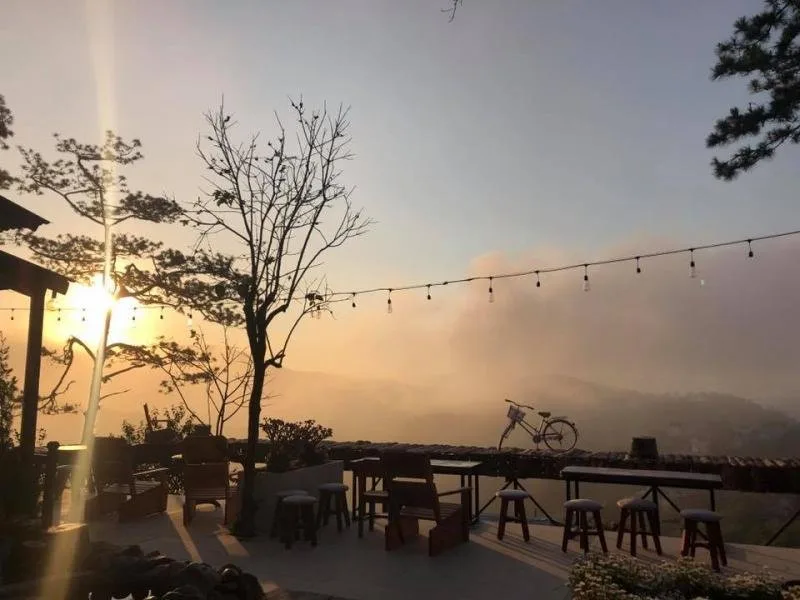 Top 11 Quán cafe không gian xanh tại Đà Lạt – Review & Đặt Chỗ 2026