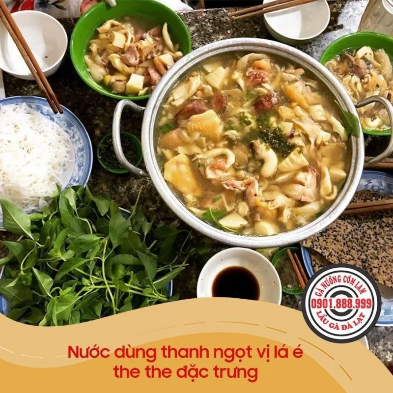 Top 14 Địa điểm ăn uống chất lượng nhất Đà Lạt – Review & Đặt Chỗ 2026
