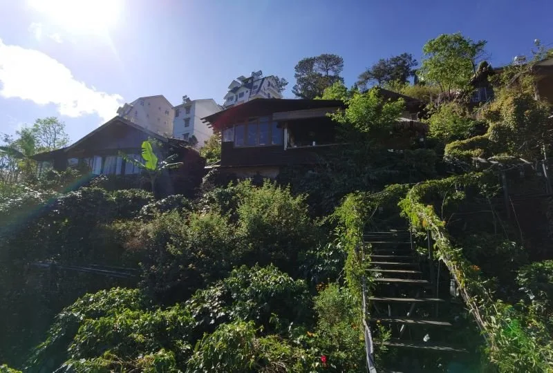 Top 14 Homestay đẹp nhất tại Đà Lạt – Review & Đặt Chỗ 2026