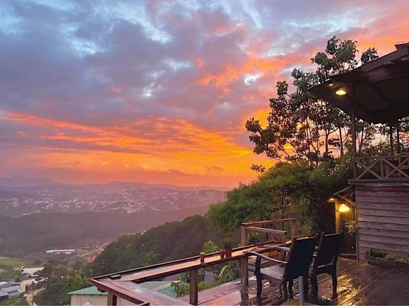 Top 14 Quán cà phê view rừng núi đẹp tại Đà Lạt – Review & Đặt Chỗ 2026