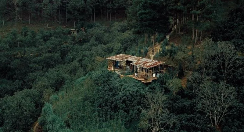 In The Forest Đà Lạt tại Đà Lạt