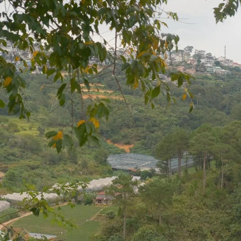 Khu Vườn Mùa Hè tại Đà Lạt