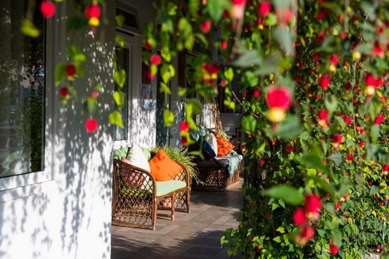 Top 15 Homestay hoa được yêu thích nhất tại Đà Lạt – Review & Đặt Chỗ 2026