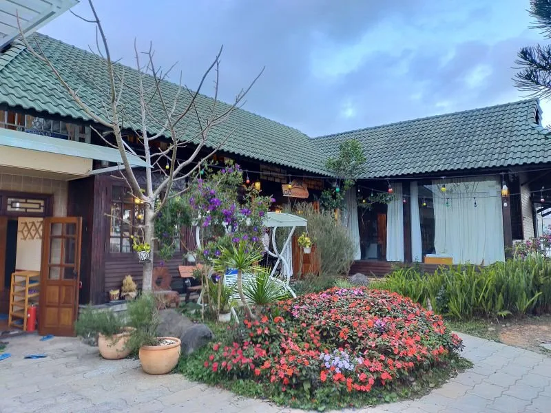 Gỗ homestay tại Đà Lạt