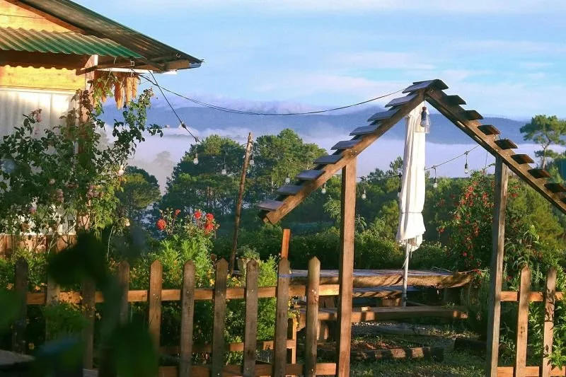 Da Lat Homestay - Mùa Xuân trên Căn nhà gỗ tại Đà Lạt