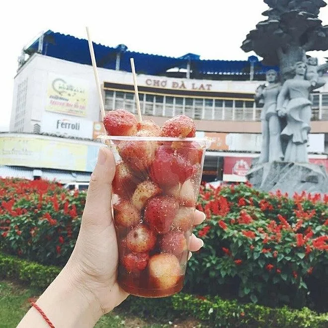 Dâu lắc tại Đà Lạt
