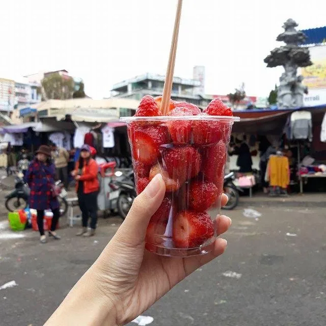 Dâu lắc tại Đà Lạt