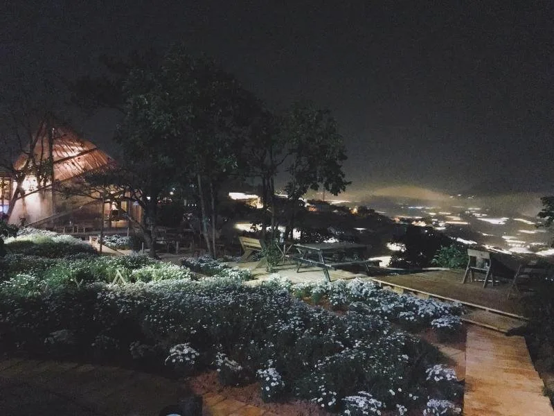 Top 15 Quán cà phê view xinh lung linh về đêm tại Đà Lạt – Review & Đặt Chỗ 2026