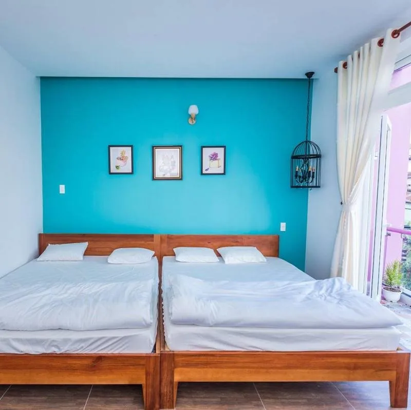 Top 16 Homestay giá dưới 900 K, view “sống ảo” đẹp nhất tại Đà Lạt – Review & Đặt Chỗ 2026