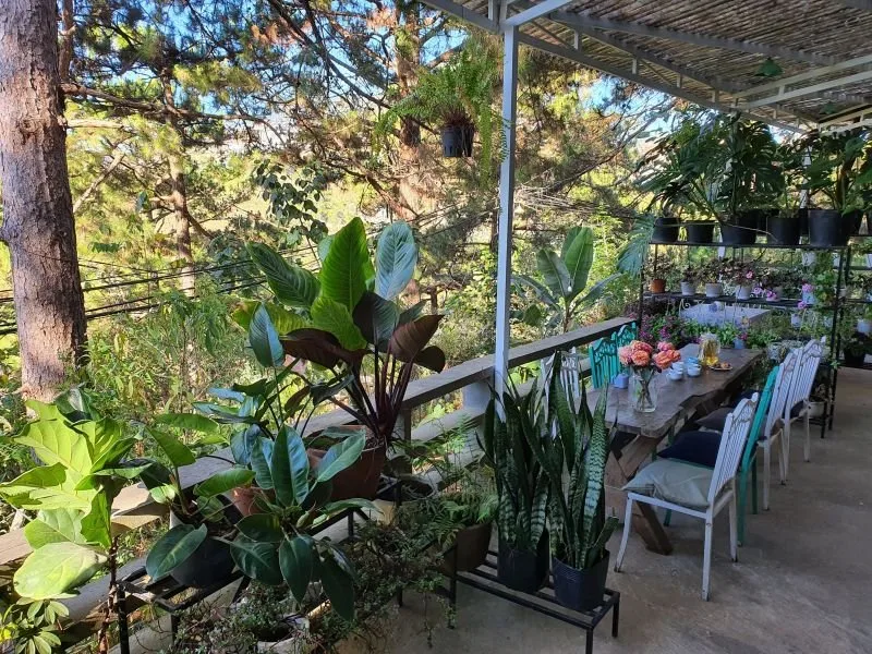 Moonrise Garden Dalat tại Đà Lạt