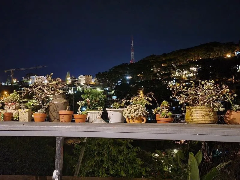 Cú Trên Cây Homestay tại Đà Lạt