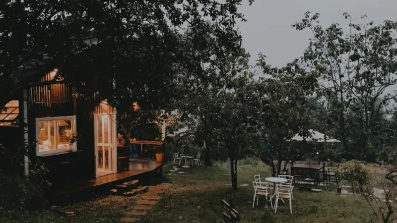 Top 17 Homestay có view thung lũng đẹp nhất ở Đà Lạt – Review & Đặt Chỗ 2026