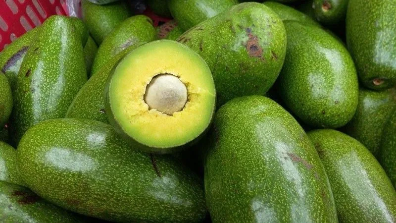 Bơ Đà Lạt tại Đà Lạt