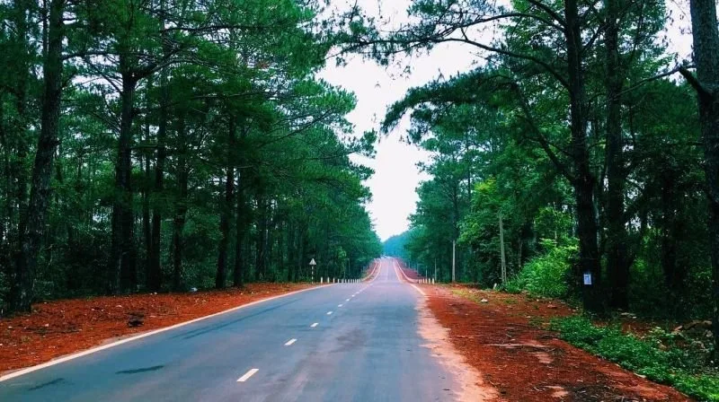 Top 17 lý do bạn nên đến Tây Nguyên một lần trong đời Đà Lạt – Review & Đặt Chỗ 2026