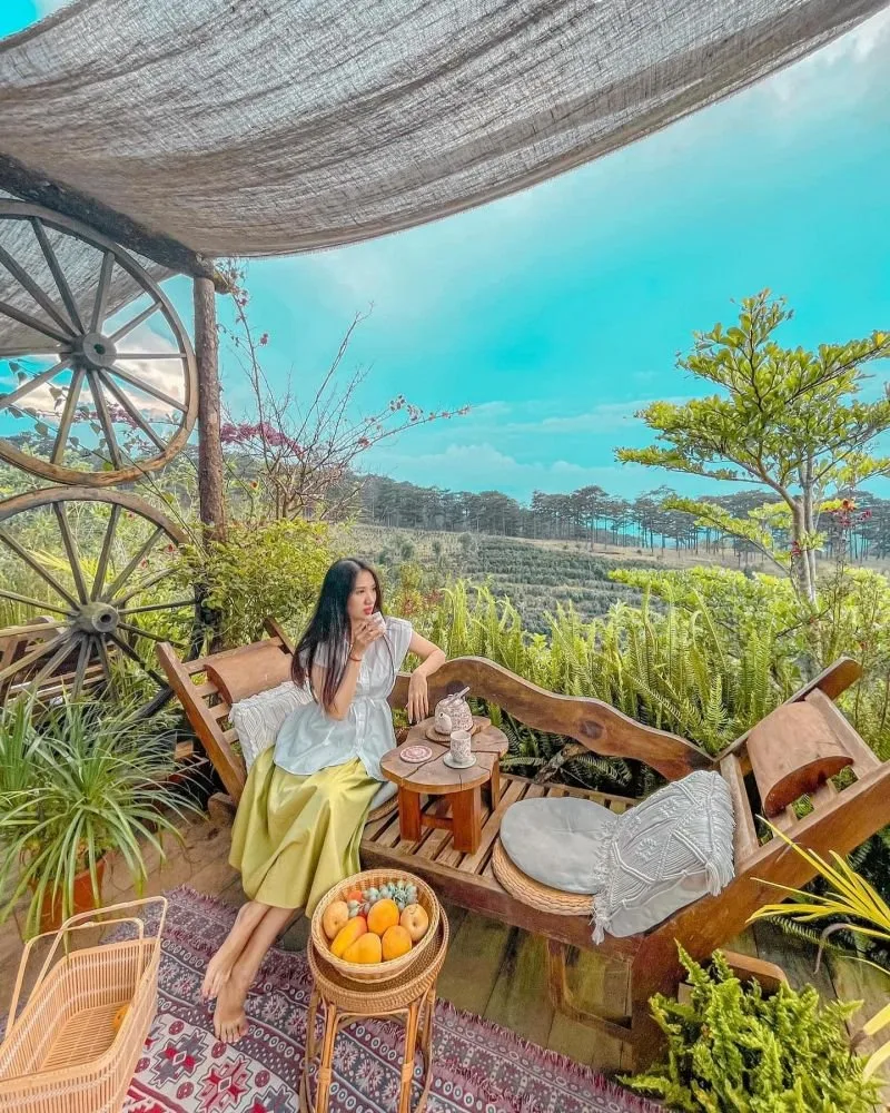 Tulutula tại Đà Lạt