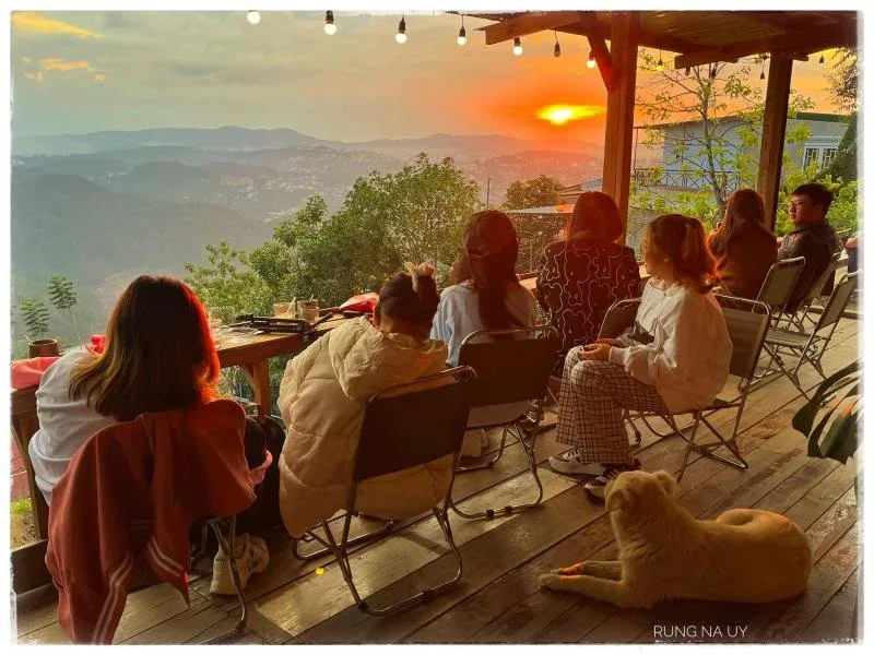 RỪNG NA UY cafe tại Đà Lạt