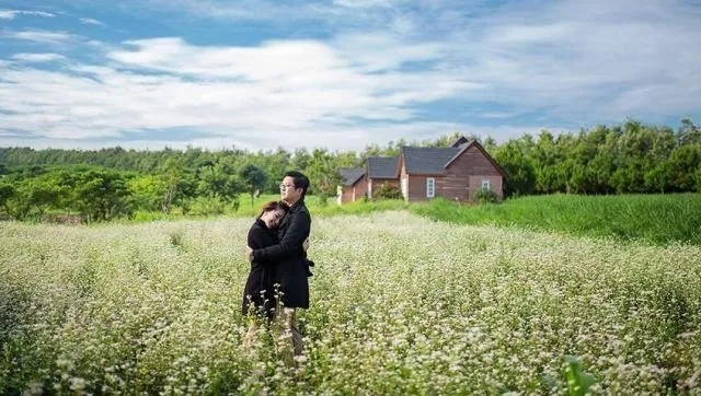 Trang trại bò sữa Đà Lạt Milk Farm tại Đà Lạt
