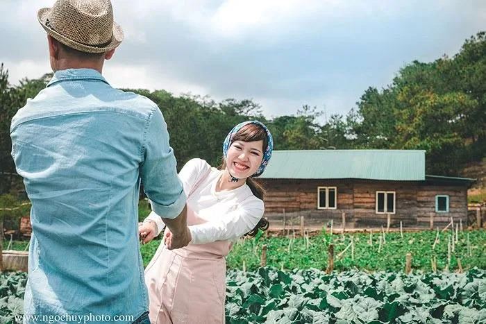 Các vườn rau củ Đà Lạt tại Đà Lạt