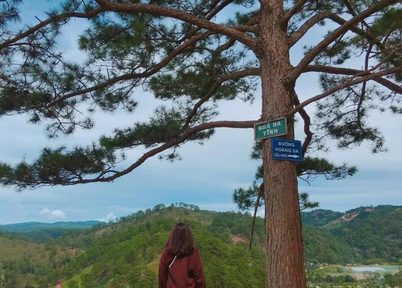 Ngã ba tình tại Đà Lạt