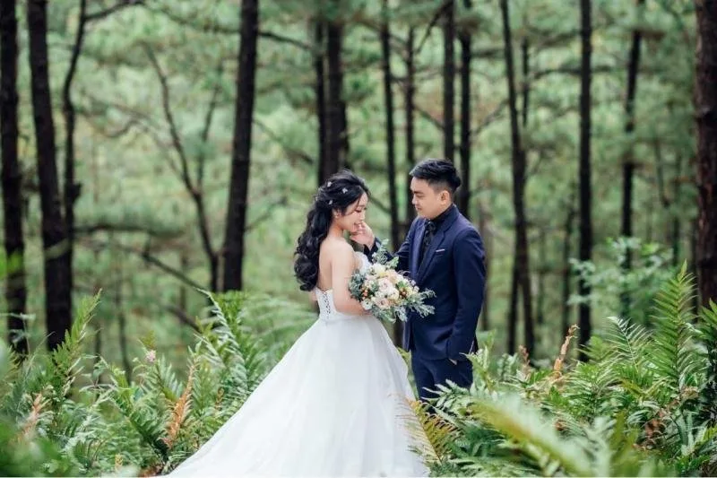 Rừng thông và rừng dương xỉ tại Đà Lạt