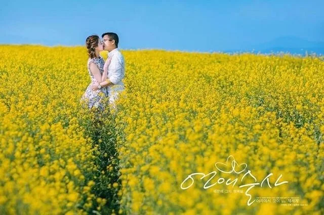 Cánh đồng hoa cải vàng tại Đà Lạt
