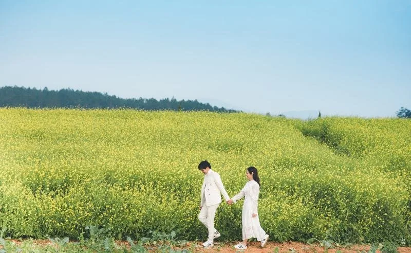 Cánh đồng hoa cải vàng tại Đà Lạt