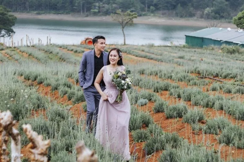 Cánh đồng hoa Lavender tại Đà Lạt